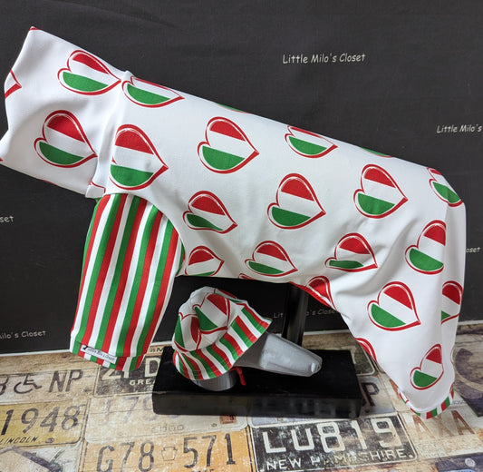 Custom Italian Hearts and stripes UV 50+ Bodysuit