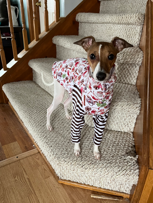 Custom Hot Chocolate French Terry Italian Greyhound 2 legged tops