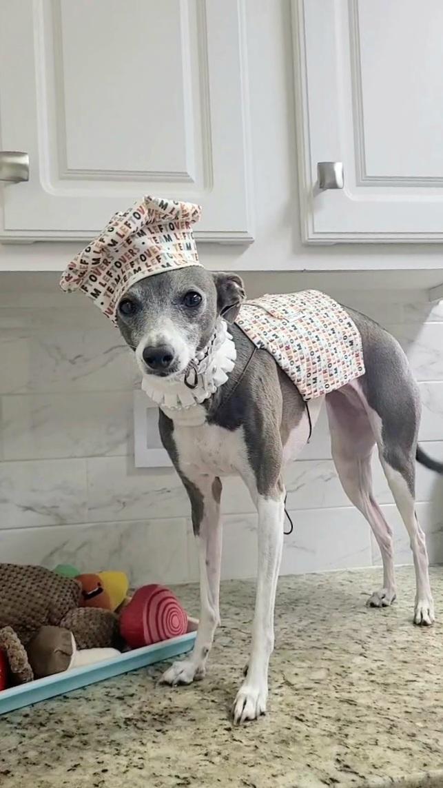 Chef's Hat and Apron