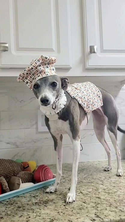 Chef's Hat and Apron