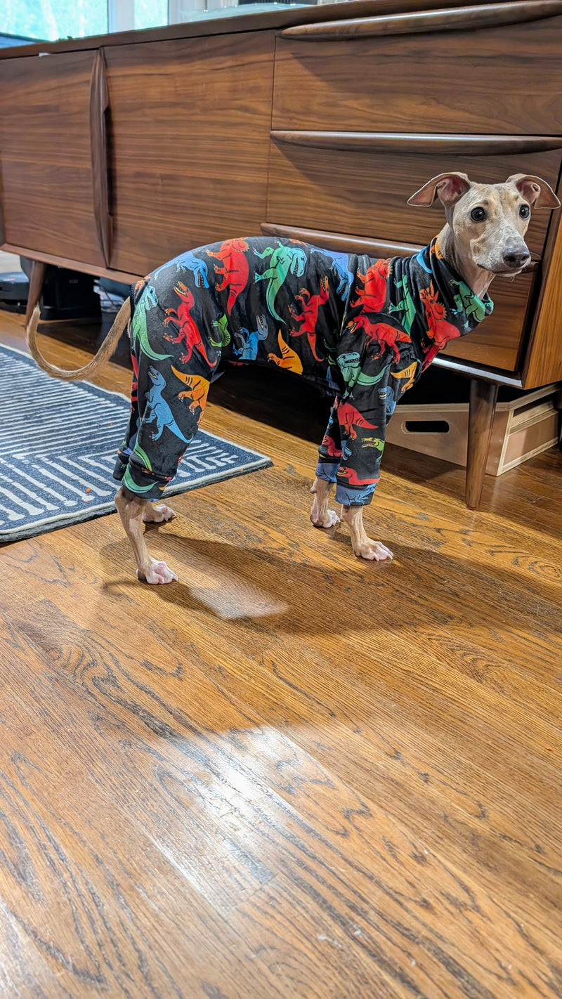Geddy Lee in a Little Milo's Closet outfit