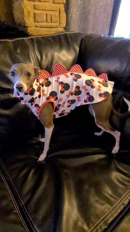 Italian Greyhound on a leather couch in a white cartoon mouse print dinosaur turtleneck with red spikes