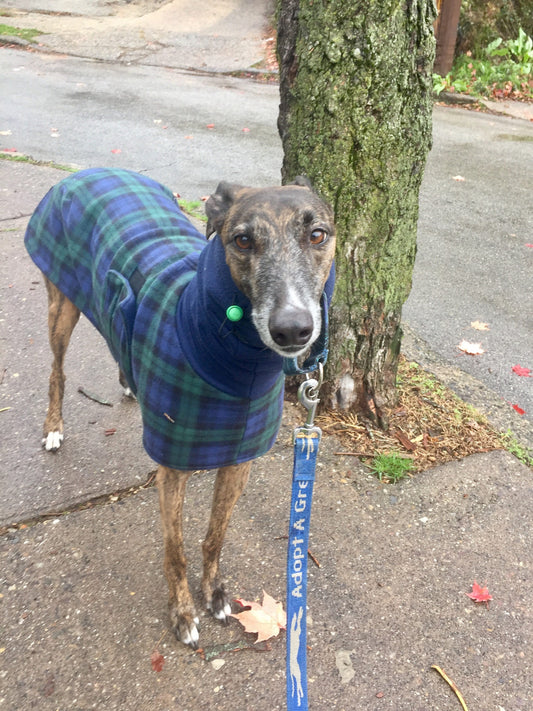 Custom Greyhound Blanket Style Wool Fleece Winter Walking Coat