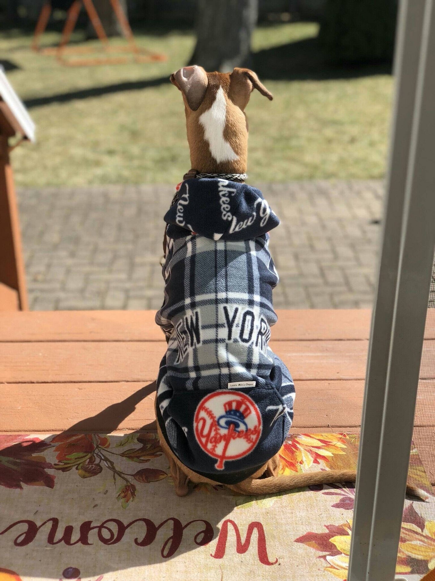 Sports Hoodies for Italian Greyhounds - Little Milo's Closet