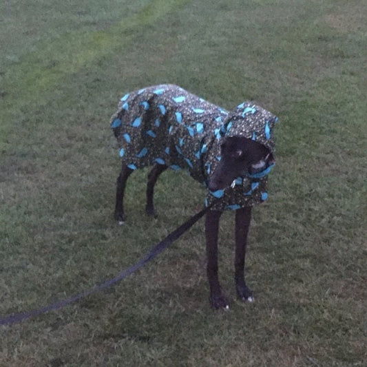 Custom Whippet and Greyhound Blanket Style Raincoat