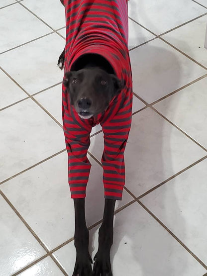 Custom Greyhound or Whippet 2 Legged Tops/Jumper