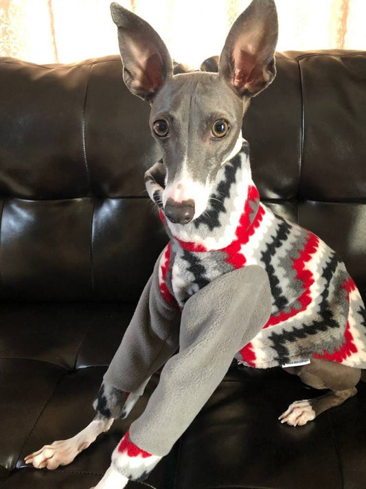 Custom Italian Greyhound Cotton Knit & Fleece Long Sleeve Top