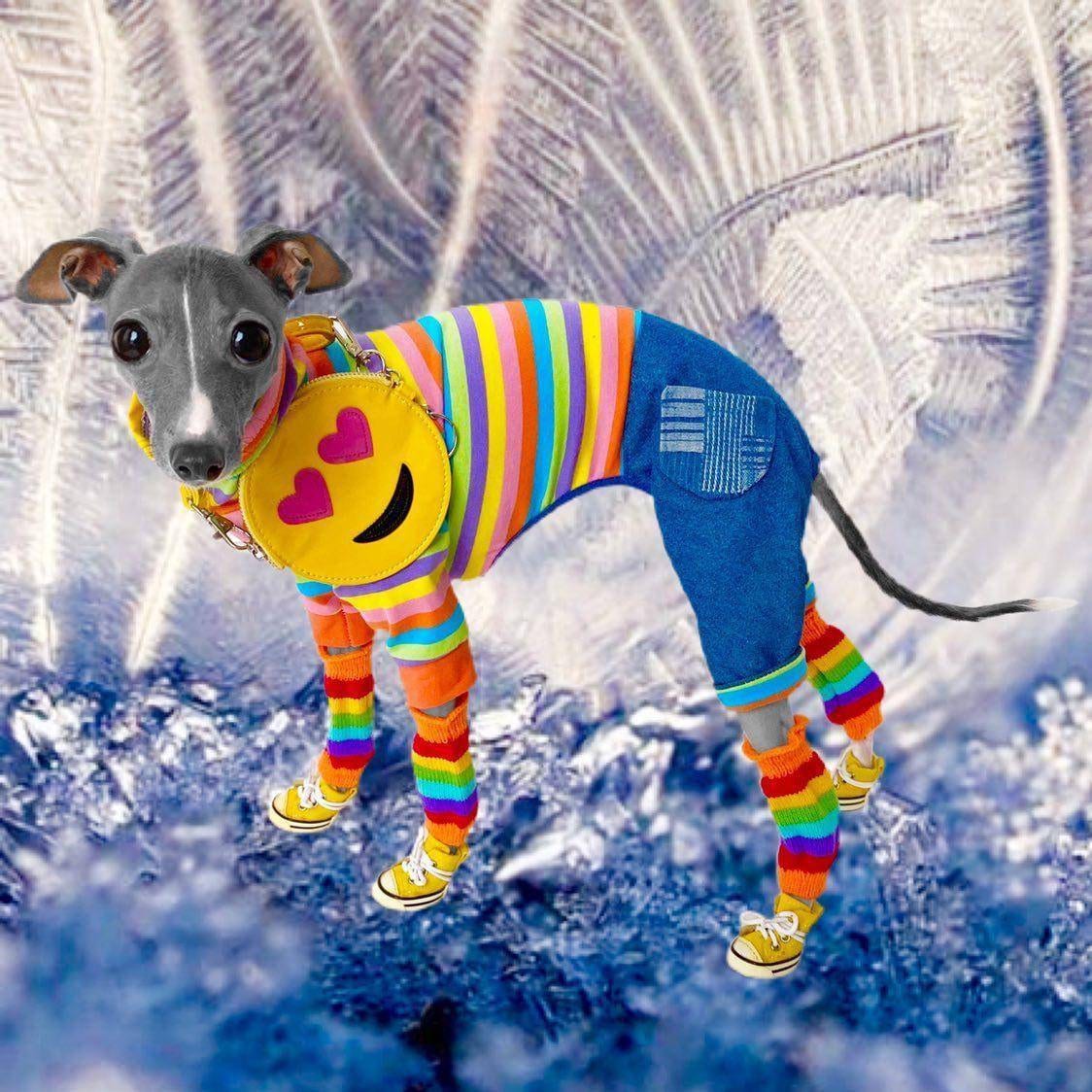 Custom Italian Greyhound Jeans Onesie