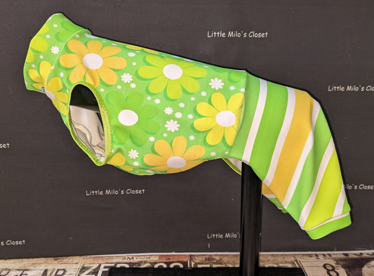 Custom UV 50+ Bodysuits For Iggys & Small Pups - Little Milo's Closet