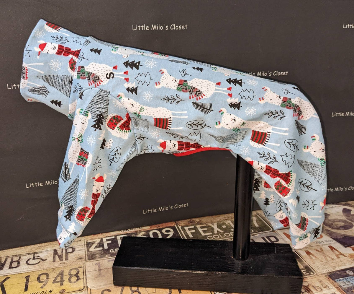 Light blue Holiday Llamas Italian Greyhound bodysuit with llamas in red scarves and pine trees, on a stand