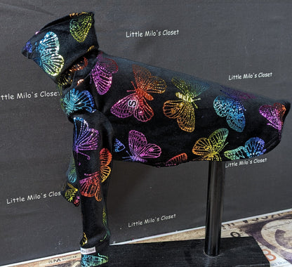 Black microfleece Italian Greyhound top with rainbow foil butterflies on a display stand